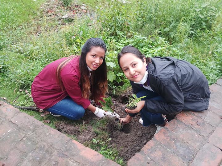 1591897224 215 Students of BSW First year participate in Cleaning and Tree