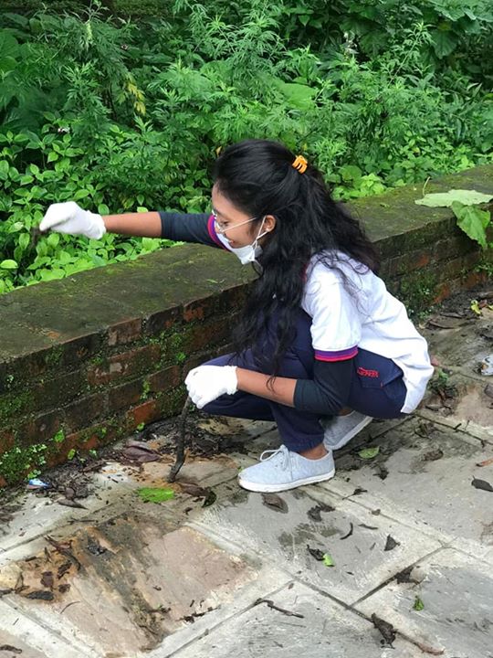 1591897224 921 Students of BSW First year participate in Cleaning and Tree